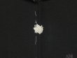 Photo5: 1620T09z690 Vintage Japanese Kimono Silk HAORI Flowers Black (5)