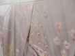 Photo2: 2203T05z940  Japanese Kimono Silk TSUKESAGE Peacock Light purple (2)