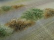 Photo4: 1Z05z80 Japanese Kimono Silk Artist work FABRIC Black Trees 44.9" (4)