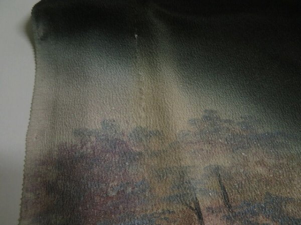 Photo8: 1F02z160 Japanese Kimono Silk Artist work FABRIC Black Scenery 51.2" (8)