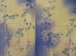 Photo5: 0928T03z560 Vintage Japanese Kimono Silk KOMON Cream-Yellow Sakura (5)