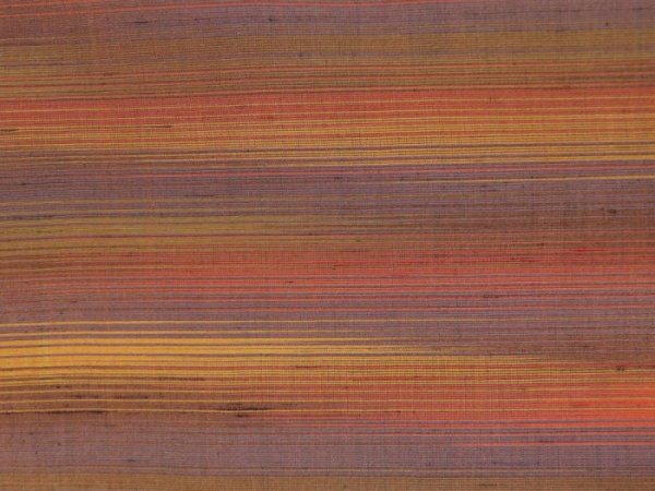 Photo6: 2323T09z670  Japanese Kimono Silk TSUMUGI  Light brown (6)