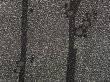 Photo8: 2827T02z990  Japanese Kimono Silk ARTIST WORK TSUKESAGE Plum tree Black (8)