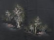 Photo3: 3510T03z540 Vintage Japanese Kimono Silk HAORI Grove Black (3)