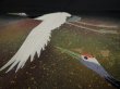 Photo4: 4G02z210  Japanese Kimono Silk  FABRIC Crane Black 70.1x30.7 (4)