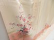Photo3: 4405T01z880  Japanese Kimono Silk TSUKESAGE Peony Light peach (3)