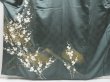 Photo5: 4524T05z1120  Japanese Kimono Silk TSUKESAGE Plum branch Raden (5)