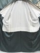 Photo6: 4524T05z1120  Japanese Kimono Silk TSUKESAGE Plum branch Raden (6)
