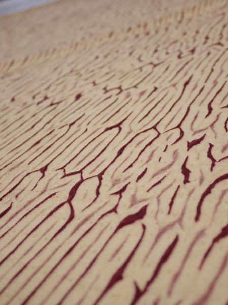 Photo4: 2U02z70  Japanese Kimono Silk  FABRIC Shibori Cream 47.2x14.4 (4)