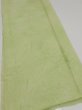 Photo2: 4D05z80  Japanese Kimono Silk  FABRIC Pine branch Light green 63.0x14.2 (2)
