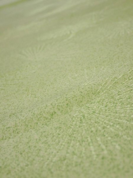 Photo4: 4D05z80  Japanese Kimono Silk  FABRIC Pine branch Light green 63.0x14.2 (4)