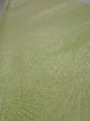 Photo4: 4D08z40  Japanese Kimono Silk  FABRIC Pine branch Light green 55.9x7.1 (4)