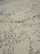 Photo4: 2C01z60  Japanese Kimono Silk  FABRIC Plum tree Pale yellow 44.1x14.2 (4)