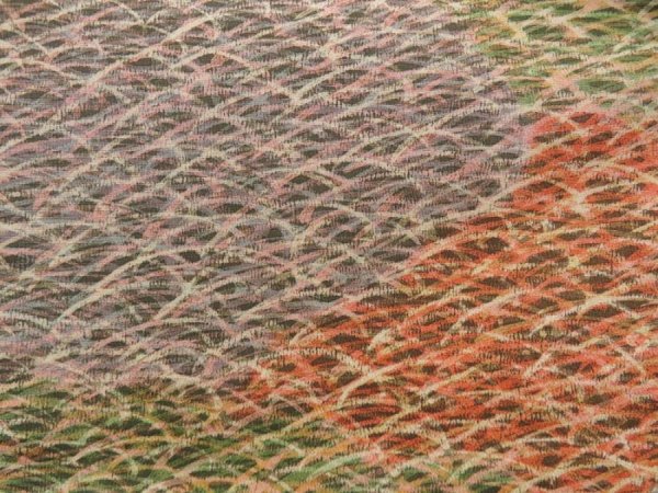 Photo5: 5106T12z920 Vintage Japanese Kimono Silk KOMON Shibakusa Dark orange (5)