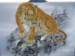 Photo2: 5110T02z560 Vintage Japanese Kimono Silk Men's Oshima HAORI Tiger (2)