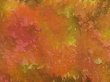 Photo4: 5110T11z550 Vintage Japanese Kimono Silk HAORI  Dark orange (4)