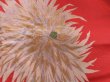 Photo6: 5110T14z1130 Vintage Japanese Kimono Silk KOFURISODE Chrysanthemum (6)