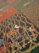 Photo4: 4D04z90  Japanese Kimono Silk  FABRIC Flowers Brown Green 67.7x14.4 (4)