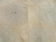 Photo3: 5312T05z750 Vintage Japanese Kimono Silk HAORI Chrysanthemum Sand beige (3)