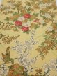 Photo1: 4H01z90  Japanese Kimono Crepe Silk  FABRIC Bird Sulfur yellow 48.4x14.2 (1)