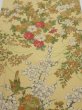 Photo1: 4H03z120  Japanese Kimono Crepe Silk  FABRIC Bird Sulfur yellow 64.6x14.2 (1)