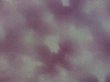 Photo4: 5315T11z510 Vintage Japanese Kimono Silk HAORI  Dark purple-gray (4)