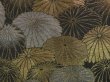 Photo4: 5316T06z560 Vintage Japanese Kimono Silk HAORI Chrysanthemum Black (4)