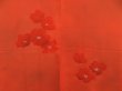 Photo3: 5326T10z580 Vintage Japanese Kimono Silk HAORI Flower Orange-Red (3)