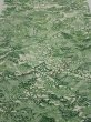 Photo1: 4L05z100  Japanese Kimono Silk  FABRIC Edo town Green 65.7x14.6 (1)