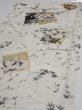 Photo3: 3R01z50  Japanese Kimono Silk  FABRIC Flowers Off-white 39.4x14.6 (3)