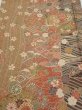 Photo1: 3R01z60  Japanese Kimono Silk  FABRIC Sakura Light brown 42.5x15.0 (1)