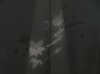 Photo3: 5330T09z330 Vintage Japanese Kimono Silk See through HAORI Maple Black (3)