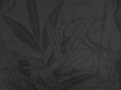 Photo4: 5403T01z290 Vintage Japanese Kimono Silk See through HAORI Leaf Black (4)
