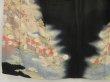 Photo6: 5403T13z790 Antique Japanese Kimono Silk TOMESODE Chrysanthemum Black (6)