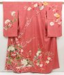 Photo1: 5411T06z790 Antique Japanese Kimono Silk CHU-FURISODE Pheasant Coral pink (1)