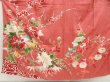 Photo5: 5411T06z790 Antique Japanese Kimono Silk CHU-FURISODE Pheasant Coral pink (5)