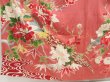 Photo6: 5411T06z790 Antique Japanese Kimono Silk CHU-FURISODE Pheasant Coral pink (6)