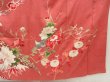 Photo7: 5411T06z790 Antique Japanese Kimono Silk CHU-FURISODE Pheasant Coral pink (7)