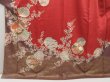 Photo5: 5411T13z1020  Japanese Kimono Silk TSUKESAGE Yukiwa Dark red (5)