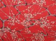 Photo6: 5413T08z450 Vintage Japanese Kimono Silk KOMON Plum blossom Dark red (6)