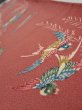 Photo4: 3L07z40  Japanese Kimono Crepe Silk  FABRIC Swallow Orange-Brown 56.7x7.1 (4)