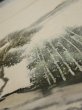 Photo4: 2i01z50  Japanese Kimono Silk  FABRIC Scenery Cream-White 40.3x14.4 (4)