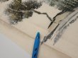 Photo6: 2i01z50  Japanese Kimono Silk  FABRIC Scenery Cream-White 40.3x14.4 (6)