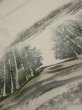 Photo4: 2i02z50  Japanese Kimono Silk  FABRIC Scenery Cream-White 40.9x14.2 (4)