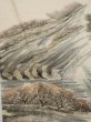 Photo5: 2i03z90  Japanese Kimono Silk  FABRIC Scenery Cream-White 69.3x14.2 (5)