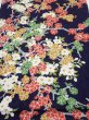 Photo1: 3H01z60  Japanese Kimono Silk  FABRIC Plum branch Dark navy 42.1x14.0 (1)