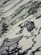 Photo4: 3G09z70  Japanese Kimono Silk  FABRIC Oharame Smoky white 92.9x7.1 (4)