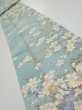 Photo1: 3G09z50  Japanese Kimono Silk  FABRIC Sakura Dull light blue 77.2x7.5 (1)