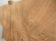 Photo2: 5507T02z440 Vintage Japanese Kimono Silk HAORI Stream Light brown (2)
