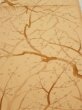 Photo1: 3K02z50  Japanese Kimono Silk  FABRIC Branch Yellow-Orange 39.4x14.4 (1)